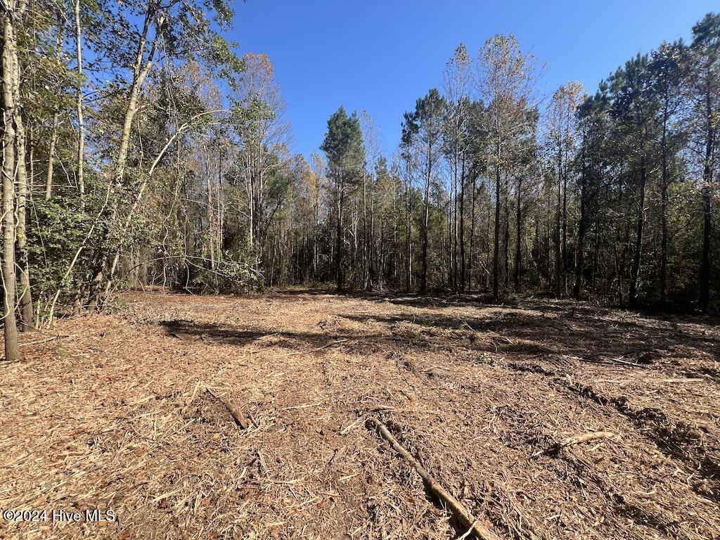 1 Veaches Mill Road Warsaw, NC 28398 - Photo 19 of 33 18