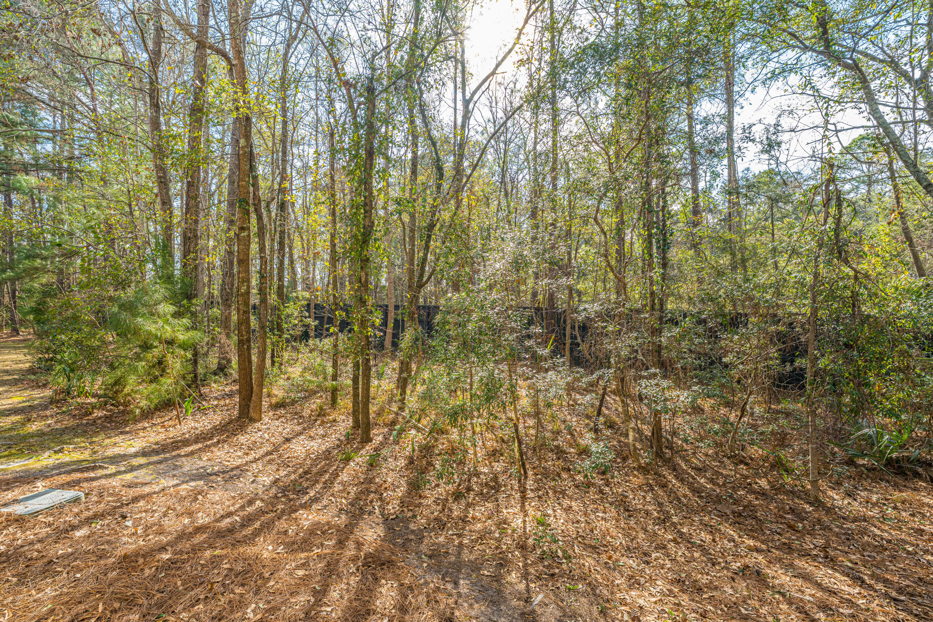 228 Fair Sailing Road Mount Pleasant, SC 29466 - Photo 49 of 85 228FairSailingRd055