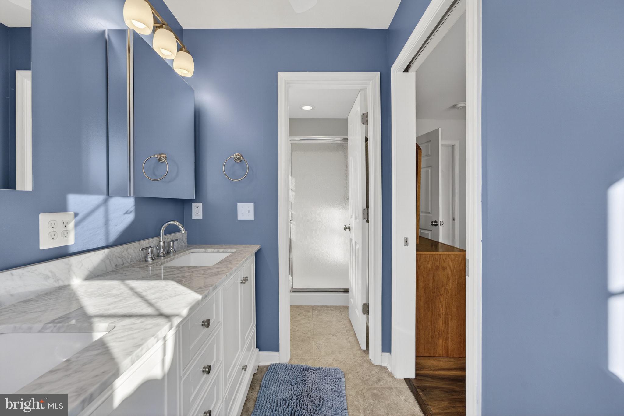 19707 Old Orange Road Culpeper, VA 22701 - Photo 26 of 40 a en suite bathroom with a sink vanity and a mirror