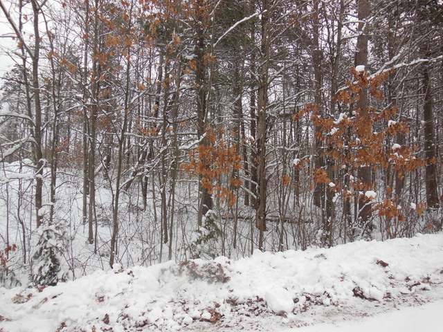 Lot 12 Cottage Road Tomahawk, WI 54487 - Photo 2 of 7 Gallery Image 2