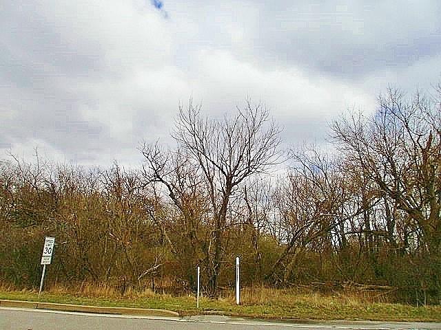 321 McMurray Road Pittsburgh, PA 15241 - Photo 1 of 2 a view of a yard with large trees