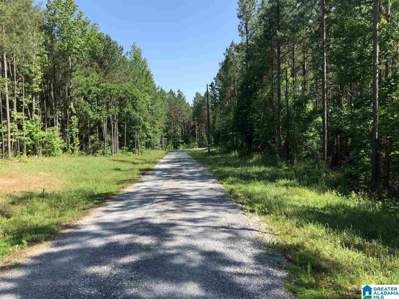 1210 Florida Road Pell City, AL 35125 - Photo 47 of 50