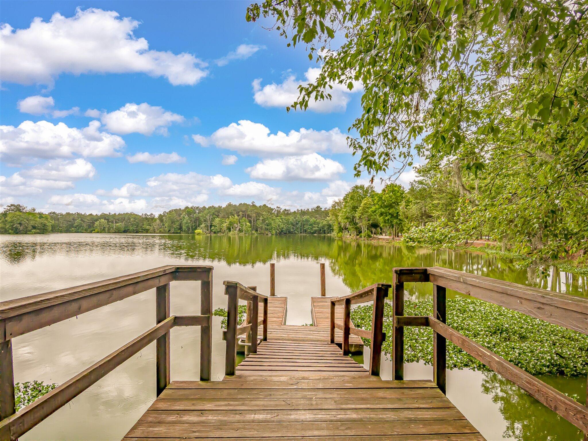 2069 Nola Run Ridgeville, SC 29472 - Photo 59 of 77 Summers Corner Amenities 3