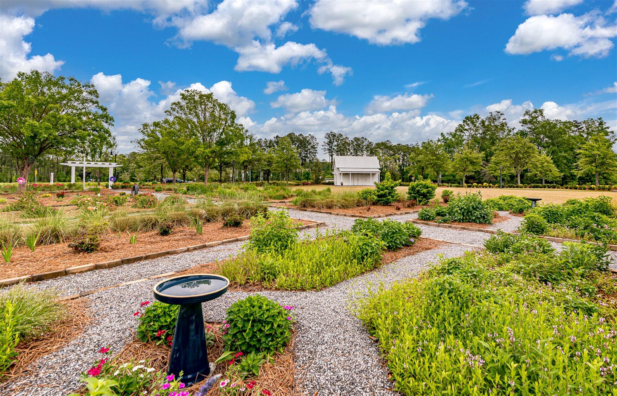 2069 Nola Run Ridgeville, SC 29472 - Photo 64 of 77 Summers Corner Amenities 8
