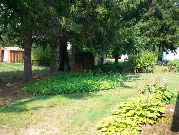 10 Senator Street Springfield, MA 01129 - Photo 4 of 21 a backyard of a house with plants and large trees