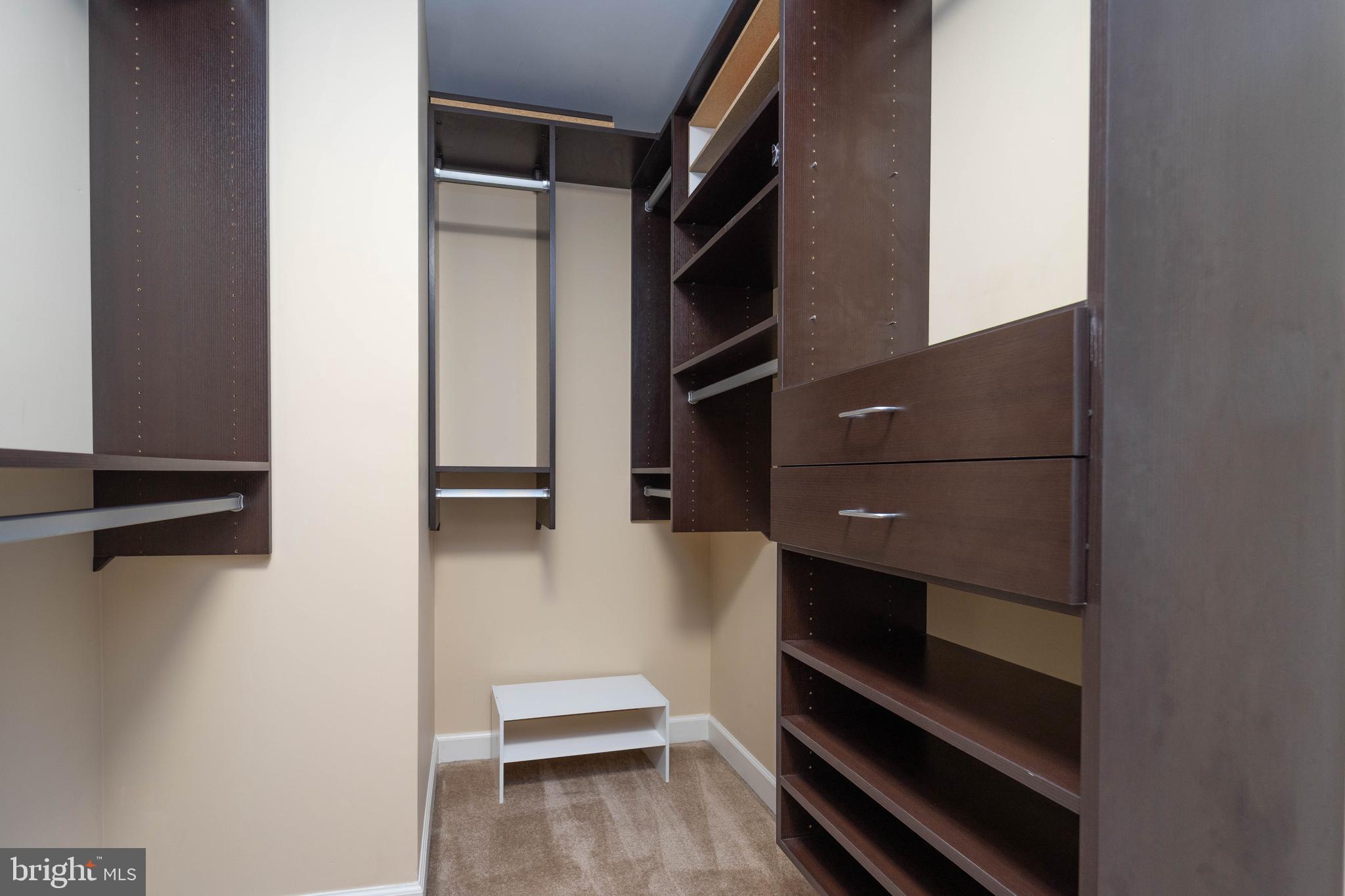 321 Bulwark Alley Annapolis, MD 21401 - Photo 32 of 58 a view of walk in closet