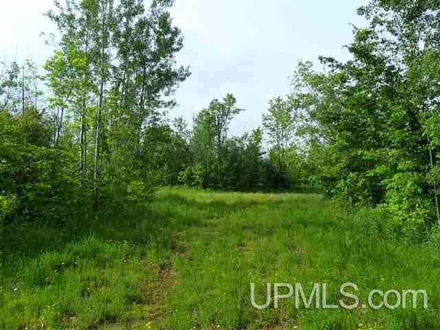 Off Firesteel Road Ontonagon, MI 49929 - Photo 6 of 9