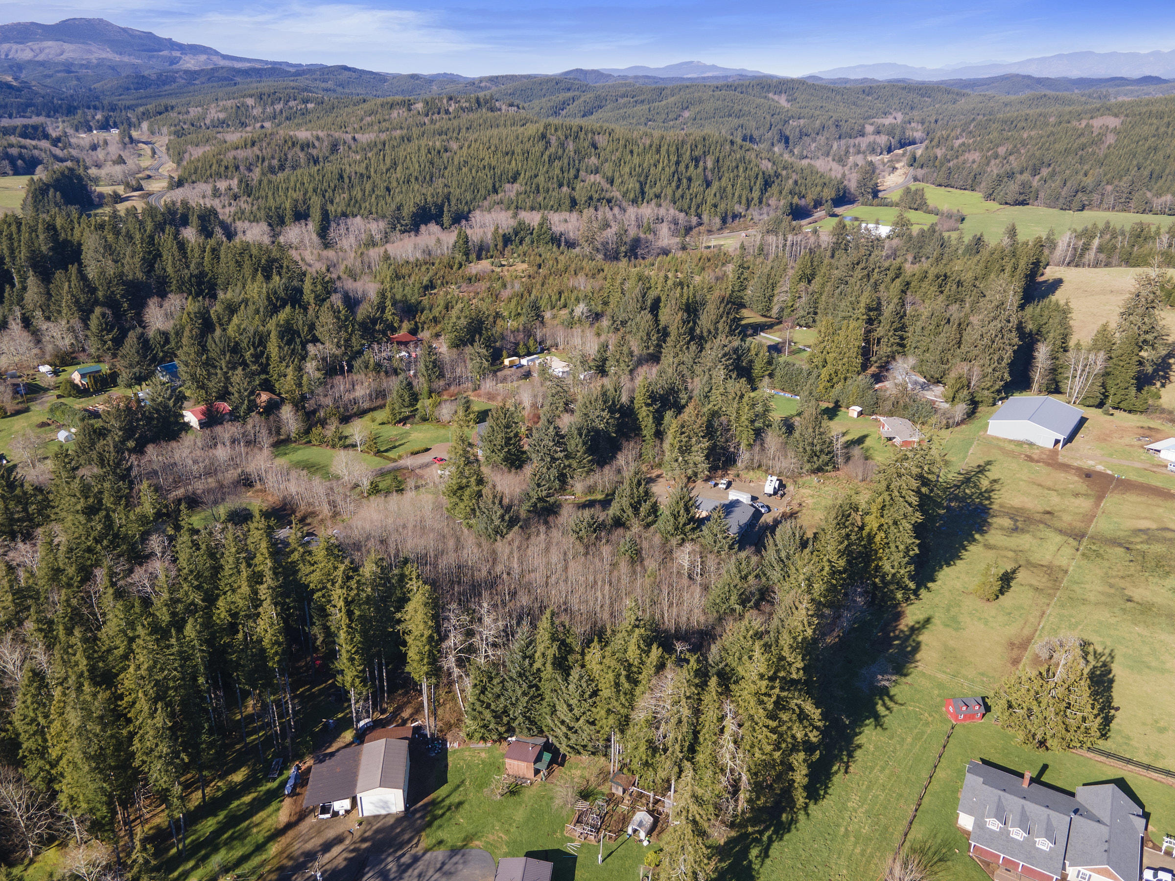 1801 Blanchard Road Beaver, OR 97112 - Photo 8 of 9 TL 1801 Blanchard Road