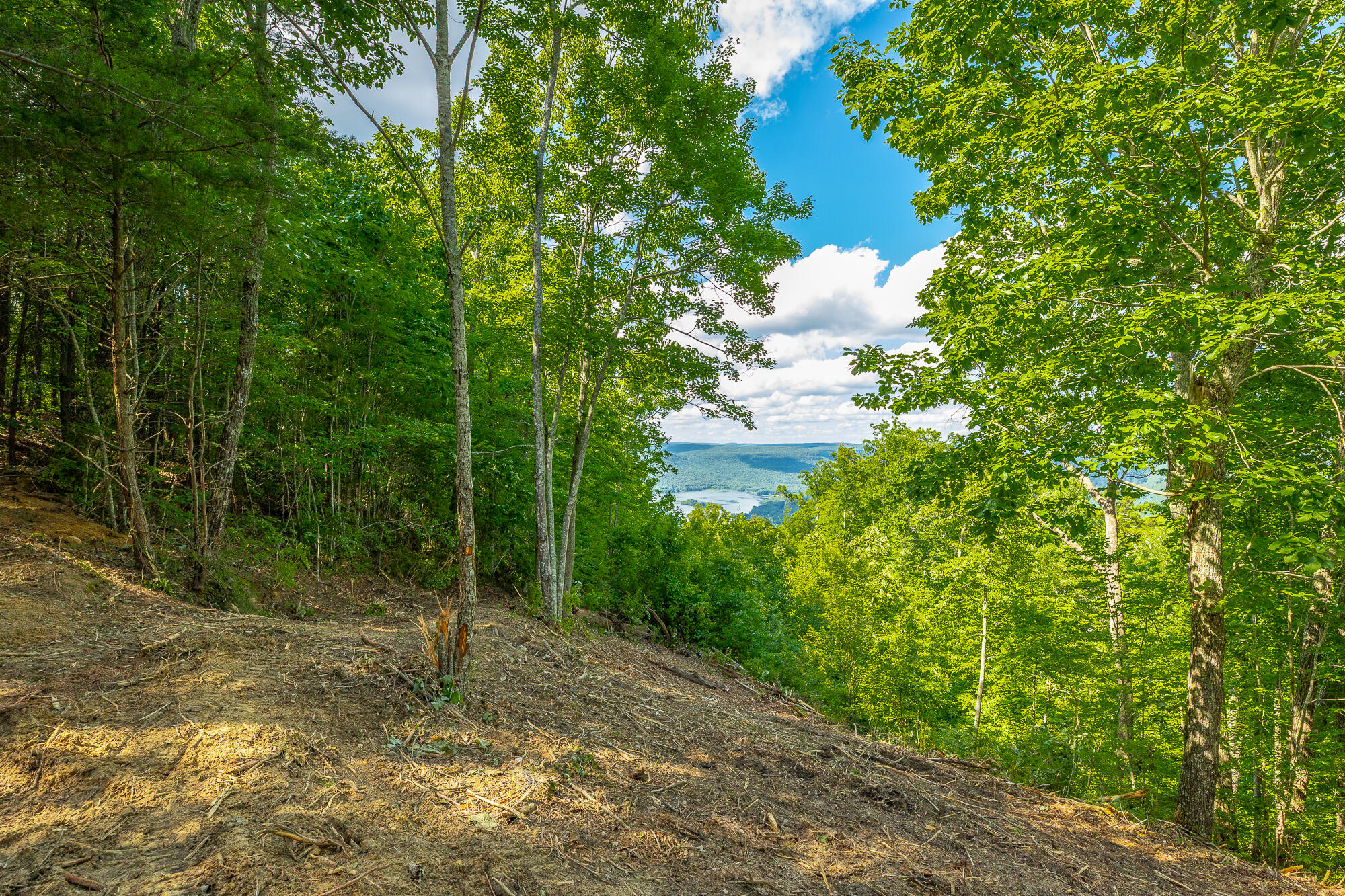 0 Back Basin Trail, Unit LOT 1244 Chattanooga, TN 37419 - Photo 15 of 119 MCW Correction HD-14
