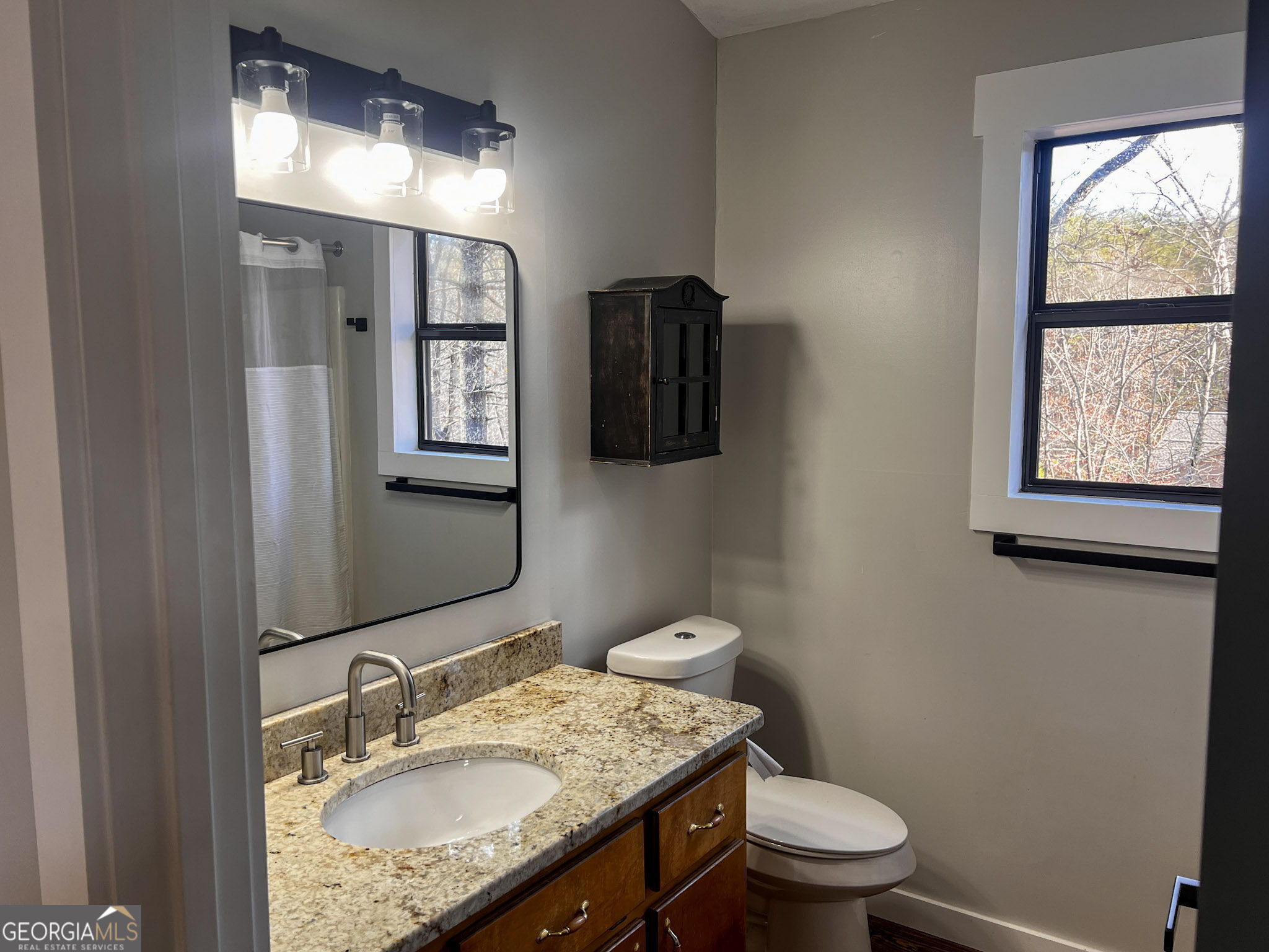 521 Northwind Sautee Nacoochee, GA 30571 - Photo 42 of 66 a bathroom with a granite countertop toilet a sink and mirror