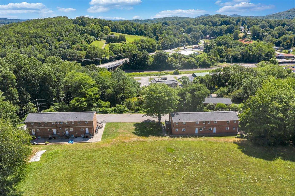 205 Nolens Hill Road Ferrum, VA 24088 - Photo 11 of 61 11-Rapid Imagery-7137