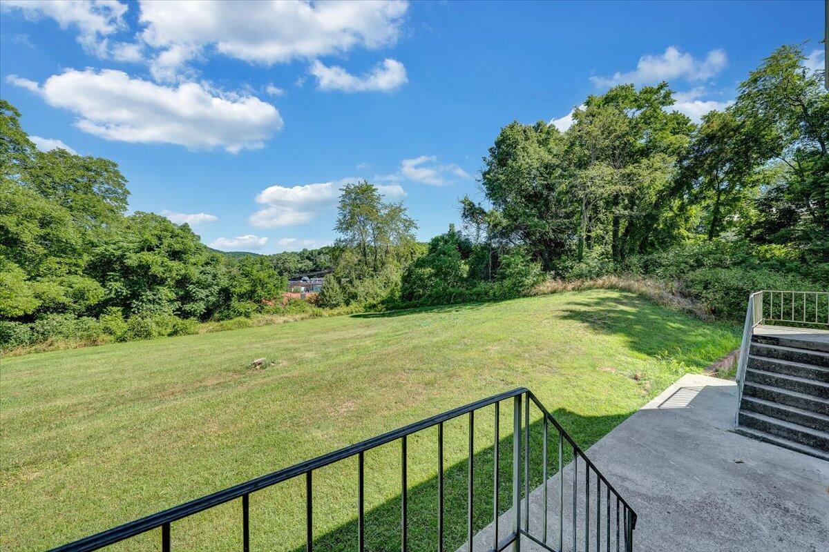 205 Nolens Hill Road Ferrum, VA 24088 - Photo 43 of 61 43-Rapid Imagery-7176