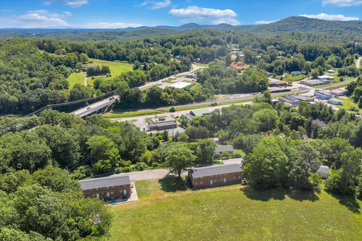 205 Nolens Hill Road Ferrum, VA 24088 - Photo 10 of 61 10-Rapid Imagery-7136