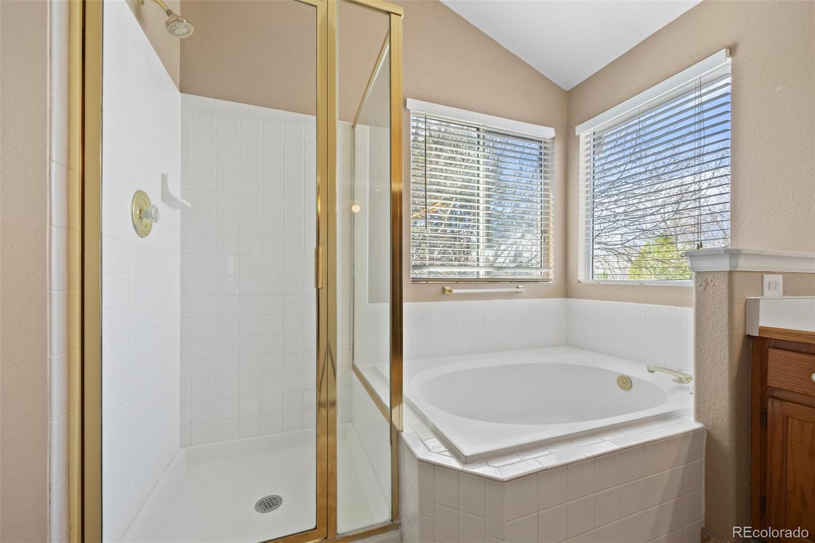 8985 Edgewood Lane Highlands Ranch, CO 80130 - Photo 29 of 45 Gallery Image 29