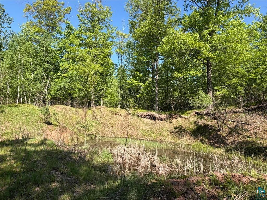 54003 Dollar Lake Road Sandstone, MN 55072 - Photo 19 of 40