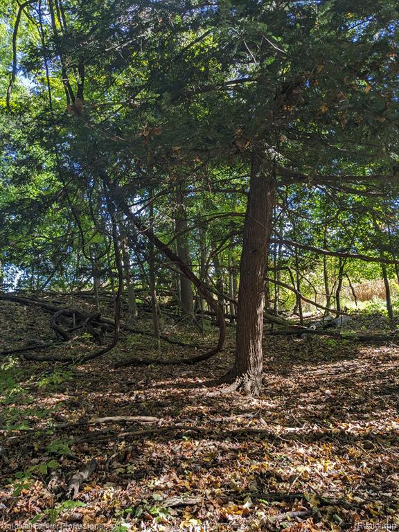 7168 Willis Road Brown City, MI 48416 - Photo 9 of 24