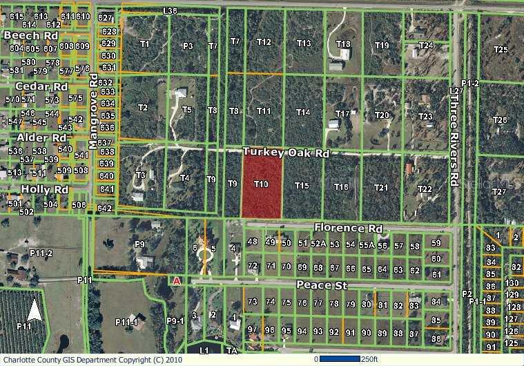 31111 Turkey Oak Road Punta Gorda, FL 33982 - Photo 1 of 1 Aerial View