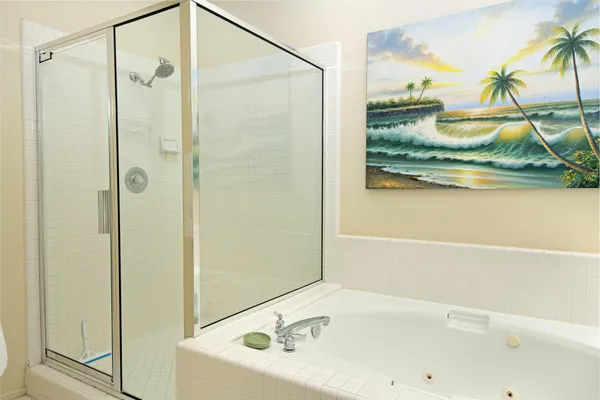 a bathroom with a bathtub and a shower