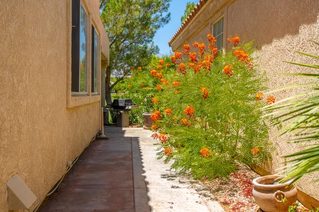a view of a pathway with a yard