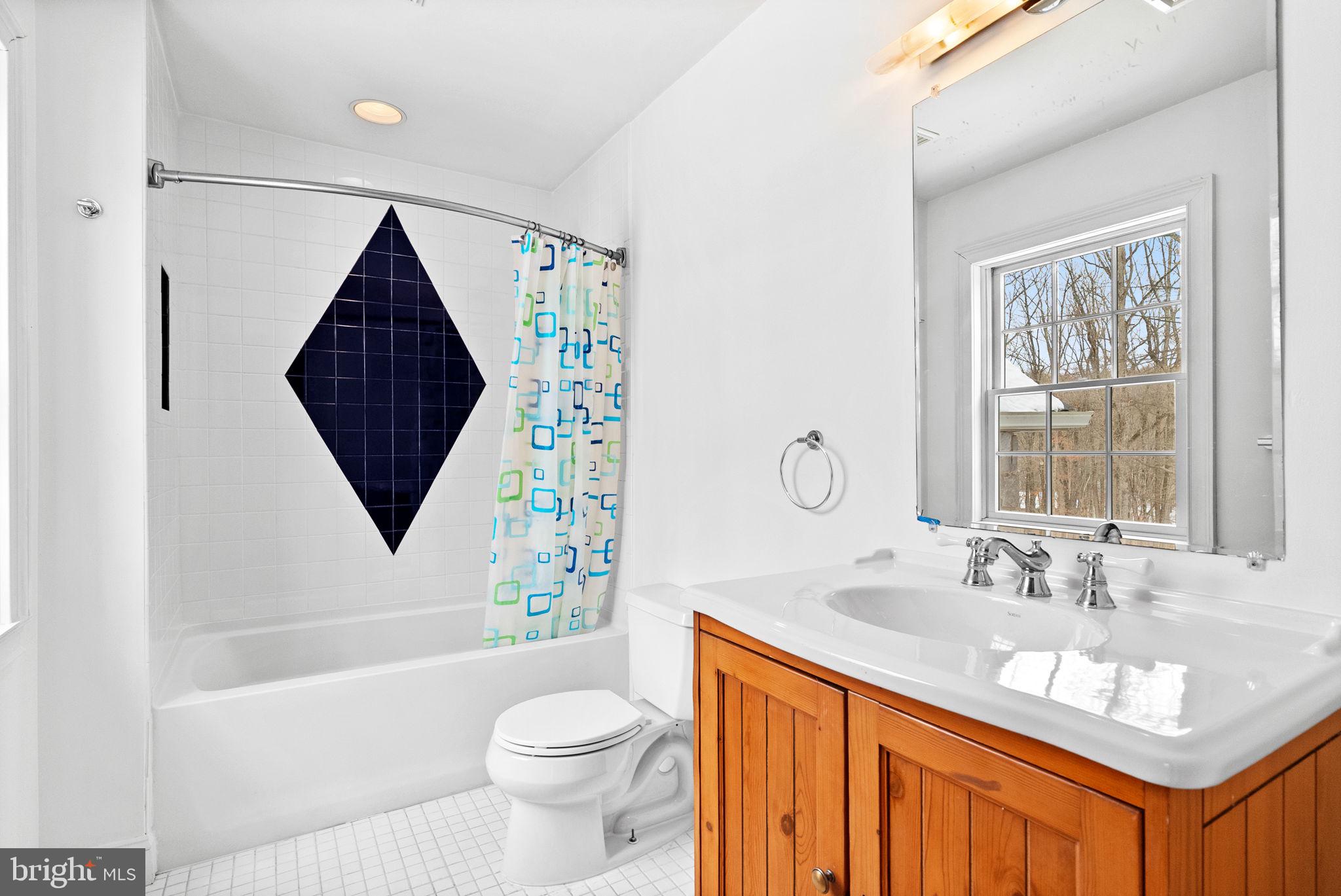7044 Ely Road New Hope, PA 18938 - Photo 44 of 61 a bathroom with a sink toilet a mirror and tub