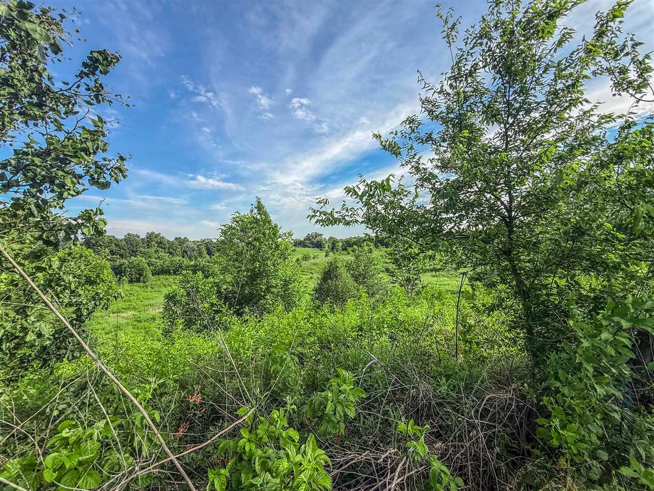 415 Billy London Road Center, KY 42214 - Photo 25 of 65 Gallery Image 25