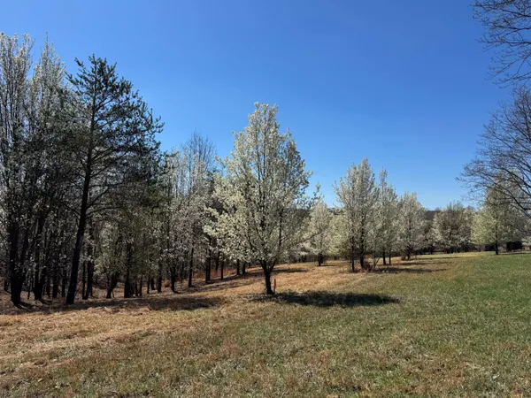 $99,900 | 0 North Church Drive, Hardy, VA 24101
