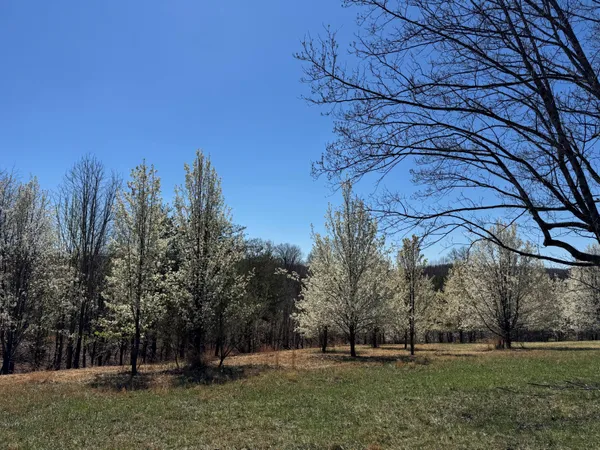 $99,900 | 0 North Church Drive, Hardy, VA 24101