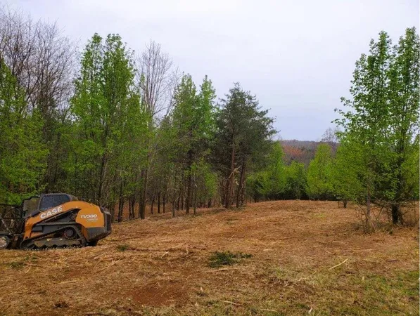 $99,900 | 0 North Church Drive, Hardy, VA 24101