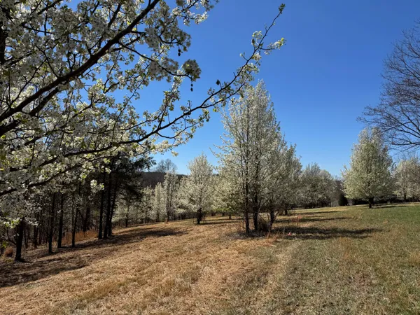 $99,900 | 0 North Church Drive, Hardy, VA 24101