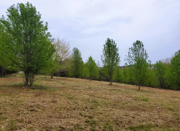 $99,900 | 0 North Church Drive, Hardy, VA 24101