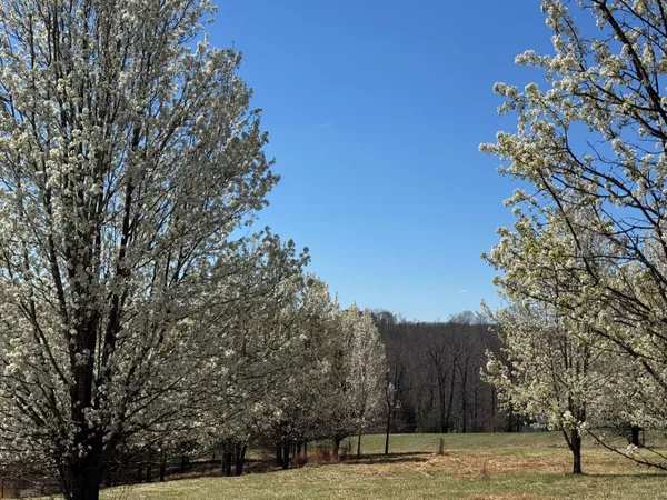 $99,900 | 0 North Church Drive, Hardy, VA 24101