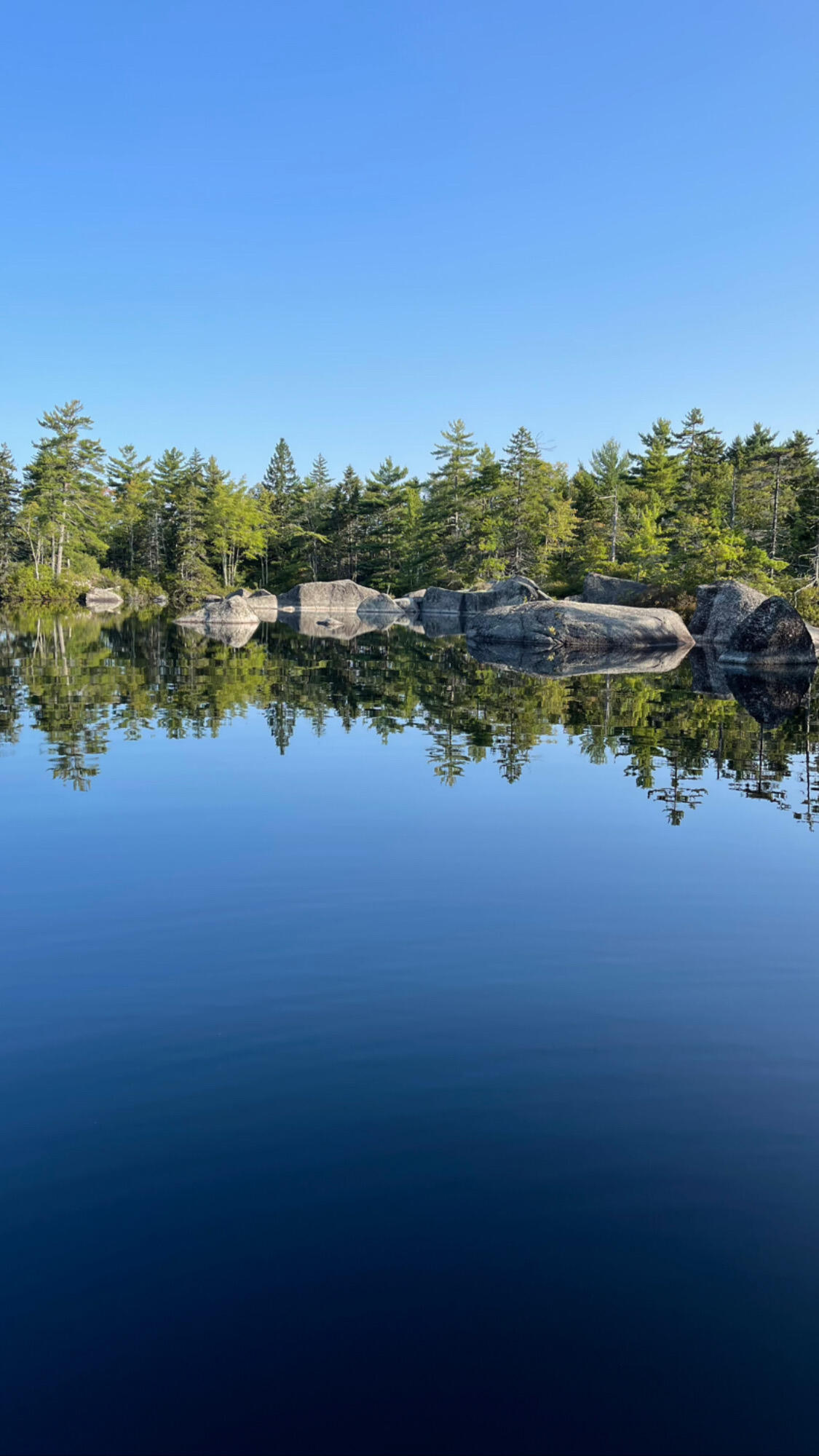 12 Moose Tuchus Point Dedham, ME 04429 - Photo 36 of 66 Goose With Mirror Finish
