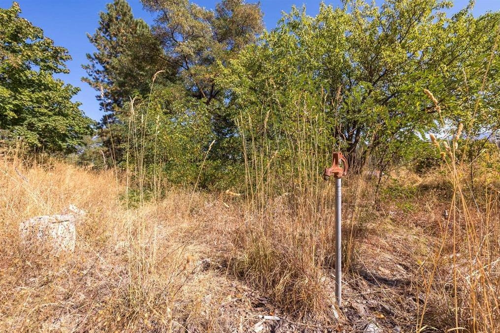 29411 North Dunn Road Chattaroy, WA 99003 - Photo 14 of 24 Gallery Image 14