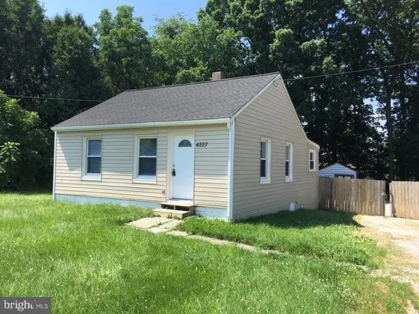 a backyard that has a large tree