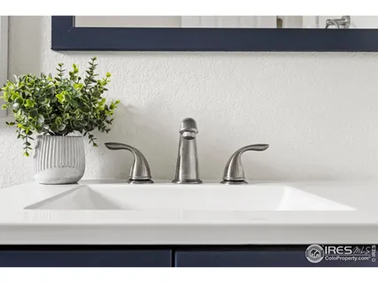 a close view of sink and a potted plant
