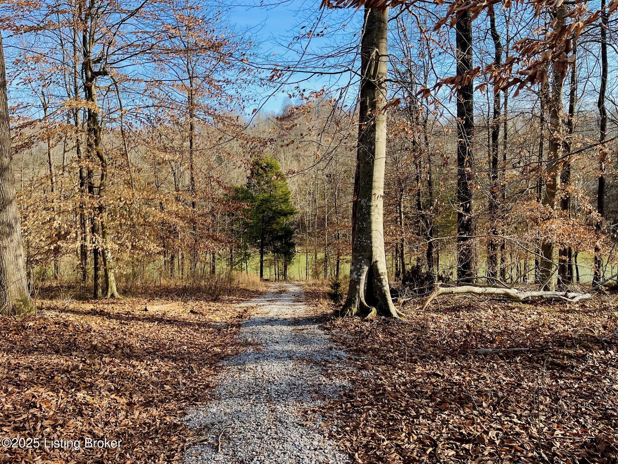 216 Peter Cave Hts Road Leitchfield, KY 42754 - Photo 58 of 63 49