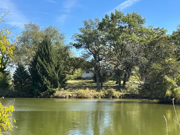 a view of an ocean with trees
