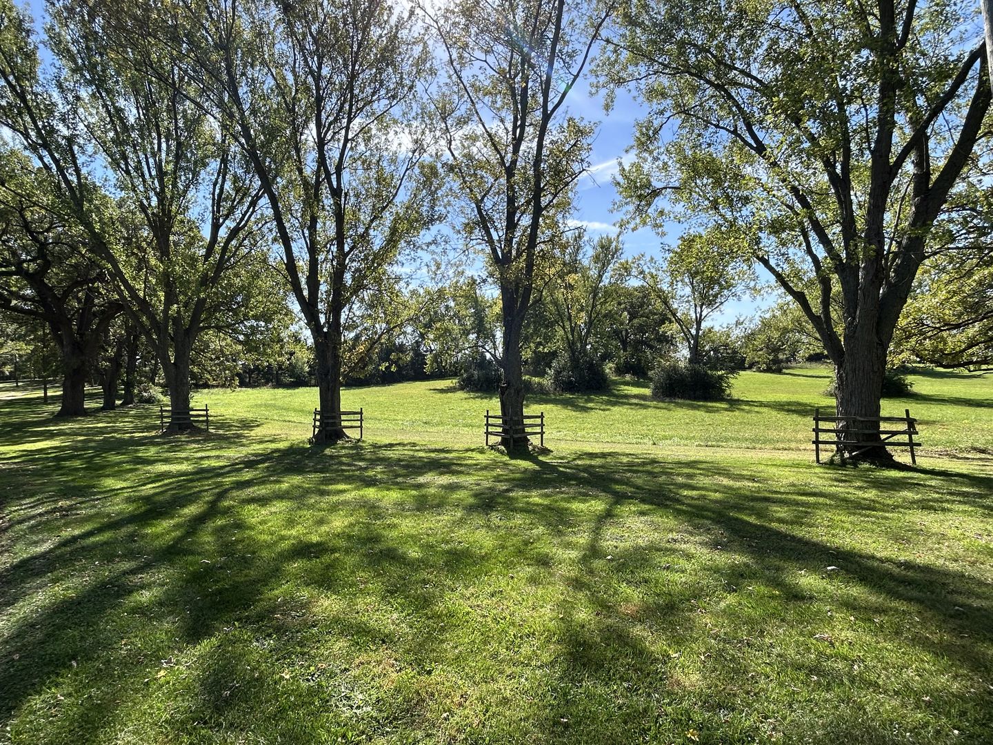 16104 McGuire Road Harvard, IL 60033 - Photo 13 of 17 a view of yard with trees