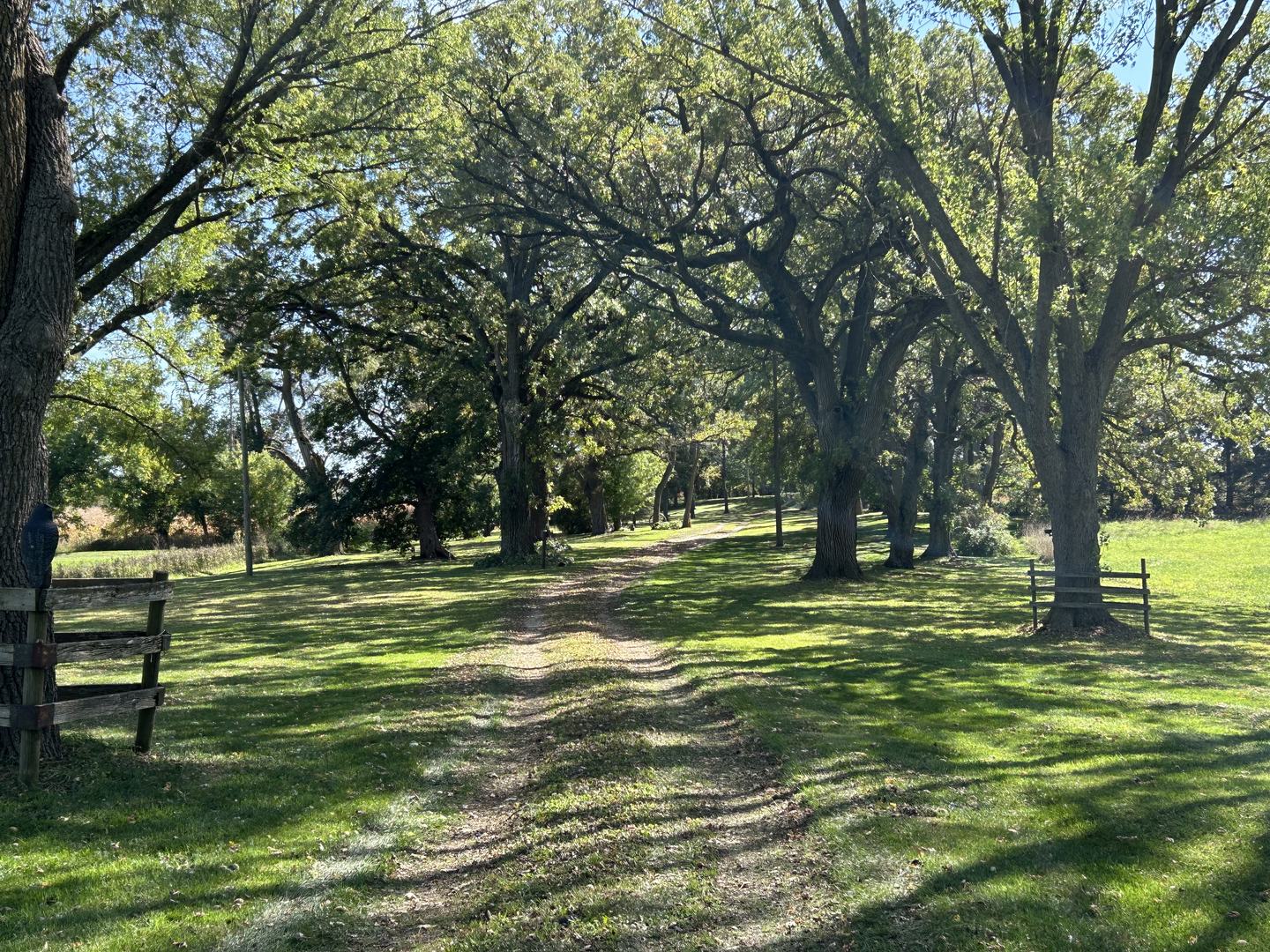 16104 McGuire Road Harvard, IL 60033 - Photo 15 of 17 a view of a park with large trees