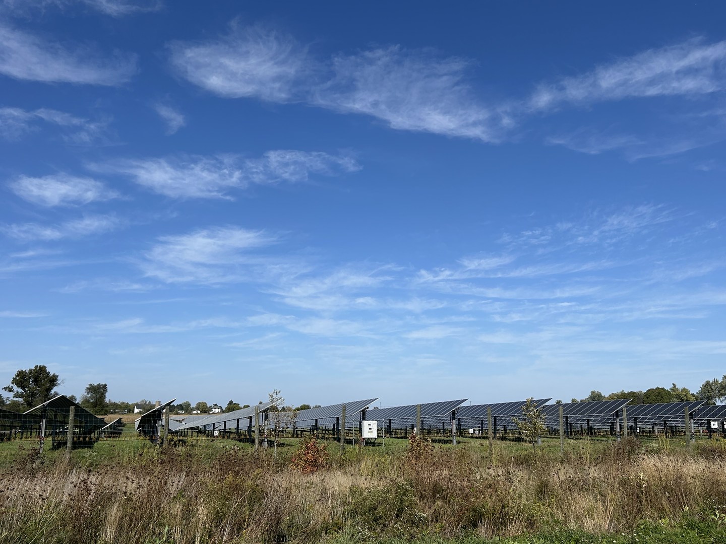 16104 McGuire Road Harvard, IL 60033 - Photo 17 of 17 a view of lake