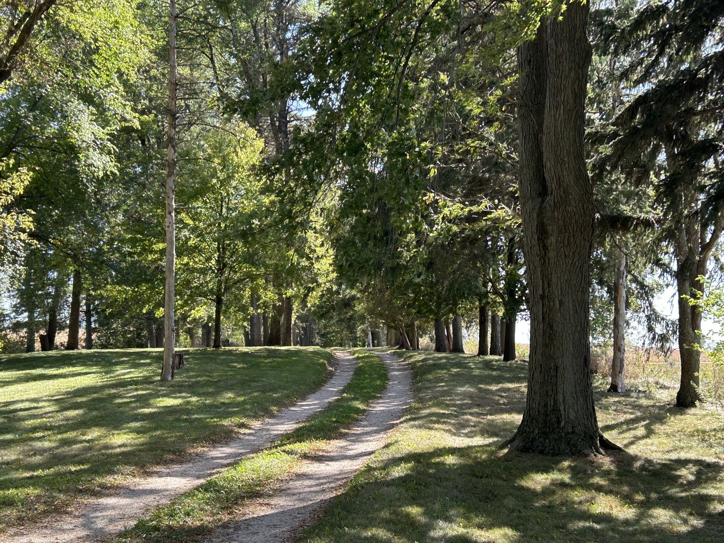 16104 McGuire Road Harvard, IL 60033 - Photo 2 of 17 a view of a yard with large trees