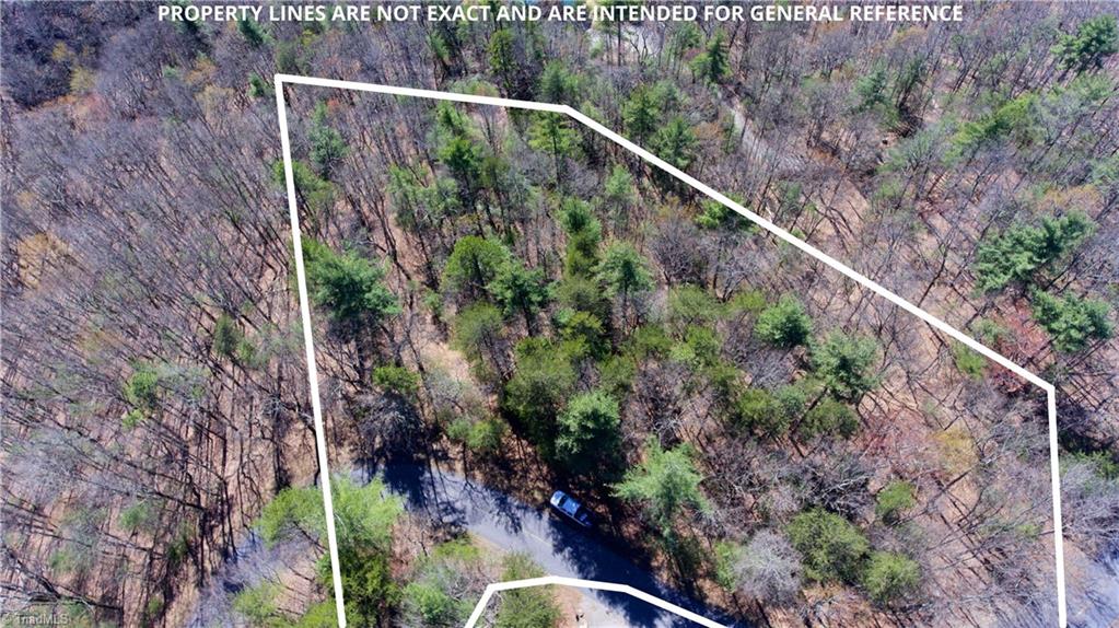 Lot 59 Buck Mountain Road Purlear, NC 28665 - Photo 1 of 5