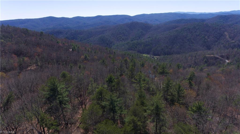 Lot 59 Buck Mountain Road Purlear, NC 28665 - Photo 3 of 5