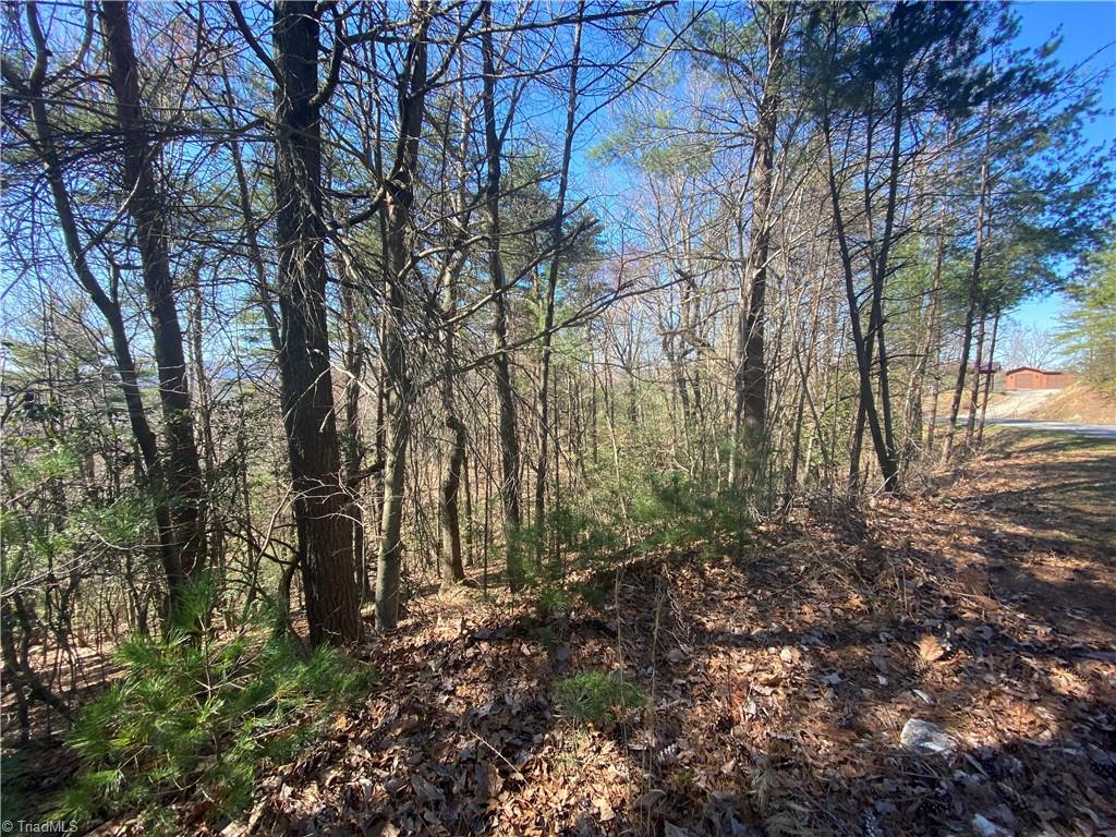 Lot 59 Buck Mountain Road Purlear, NC 28665 - Photo 4 of 5