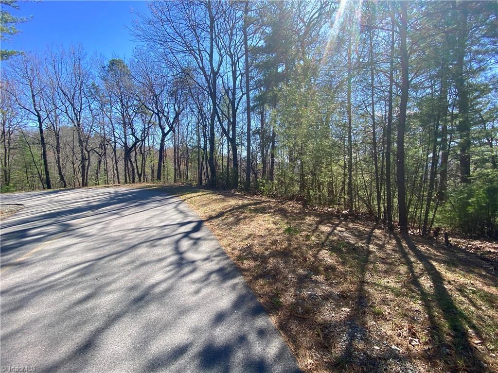 Lot 59 Buck Mountain Road Purlear, NC 28665 - Photo 5 of 5