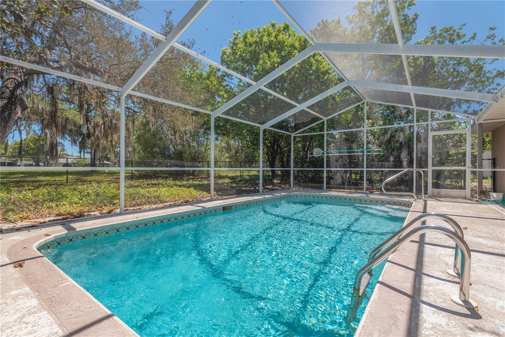 10220 Swanson Court Spring Hill, FL 34608 - Photo 28 of 30