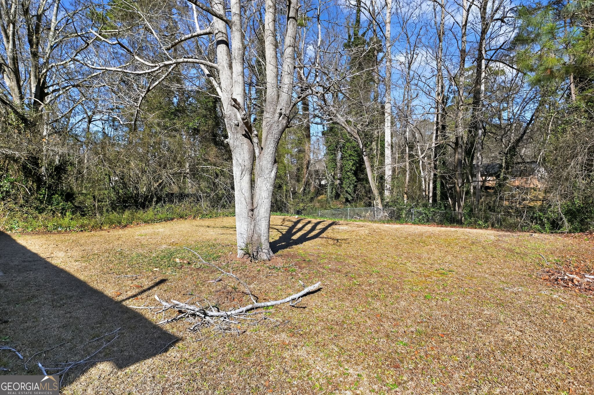 10248 Briarbay Loop Jonesboro, GA 30238 - Photo 29 of 31 a view of a yard with large trees