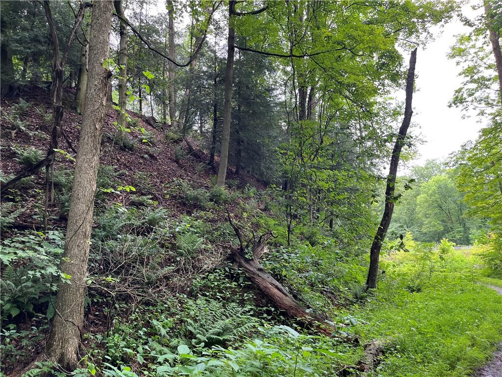 0 Constitution Boulevard New Brighton, PA 15066 - Photo 18 of 21