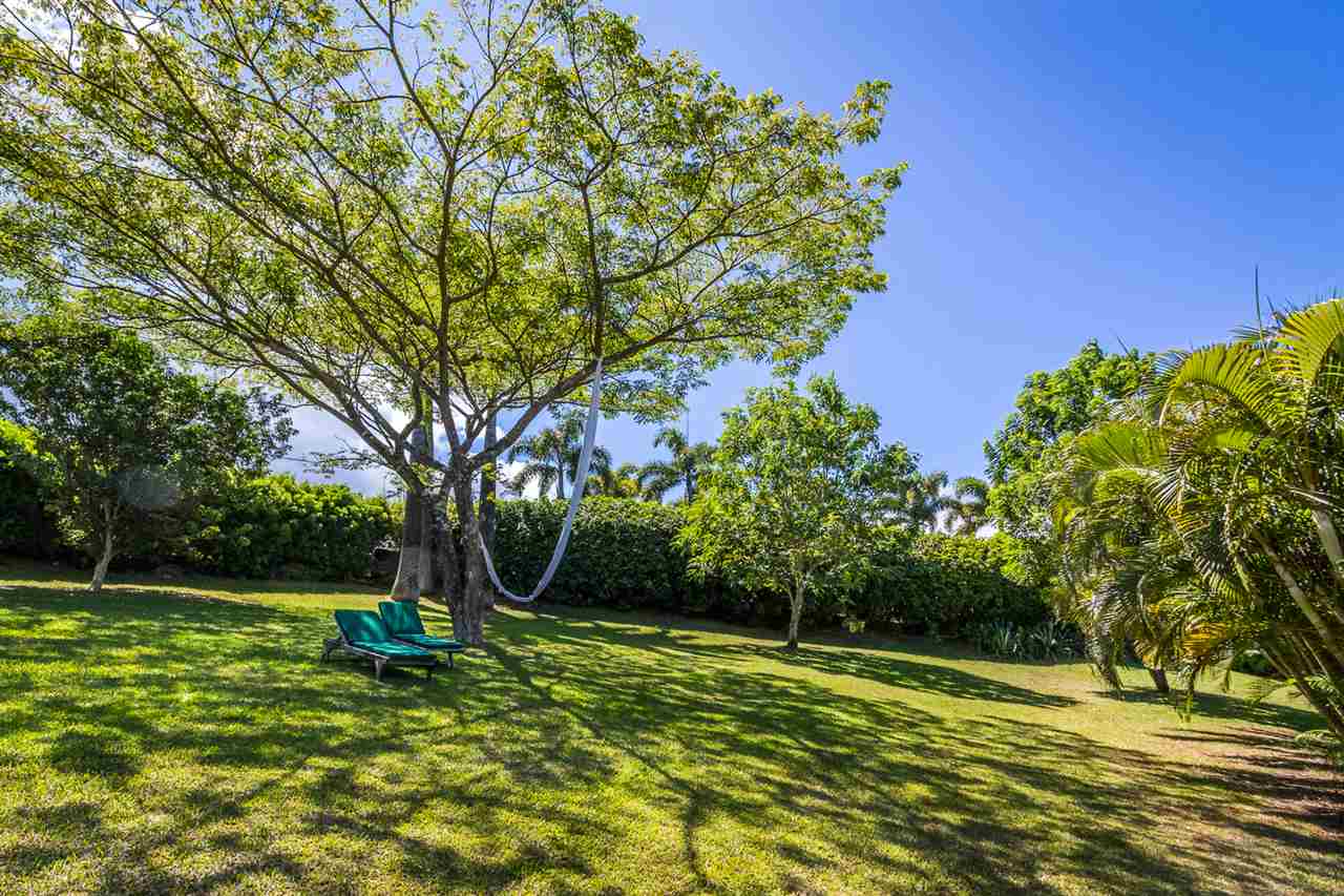 195 Mauu Place Haiku, HI 96708 - Photo 24 of 30 a view of a backyard with large trees