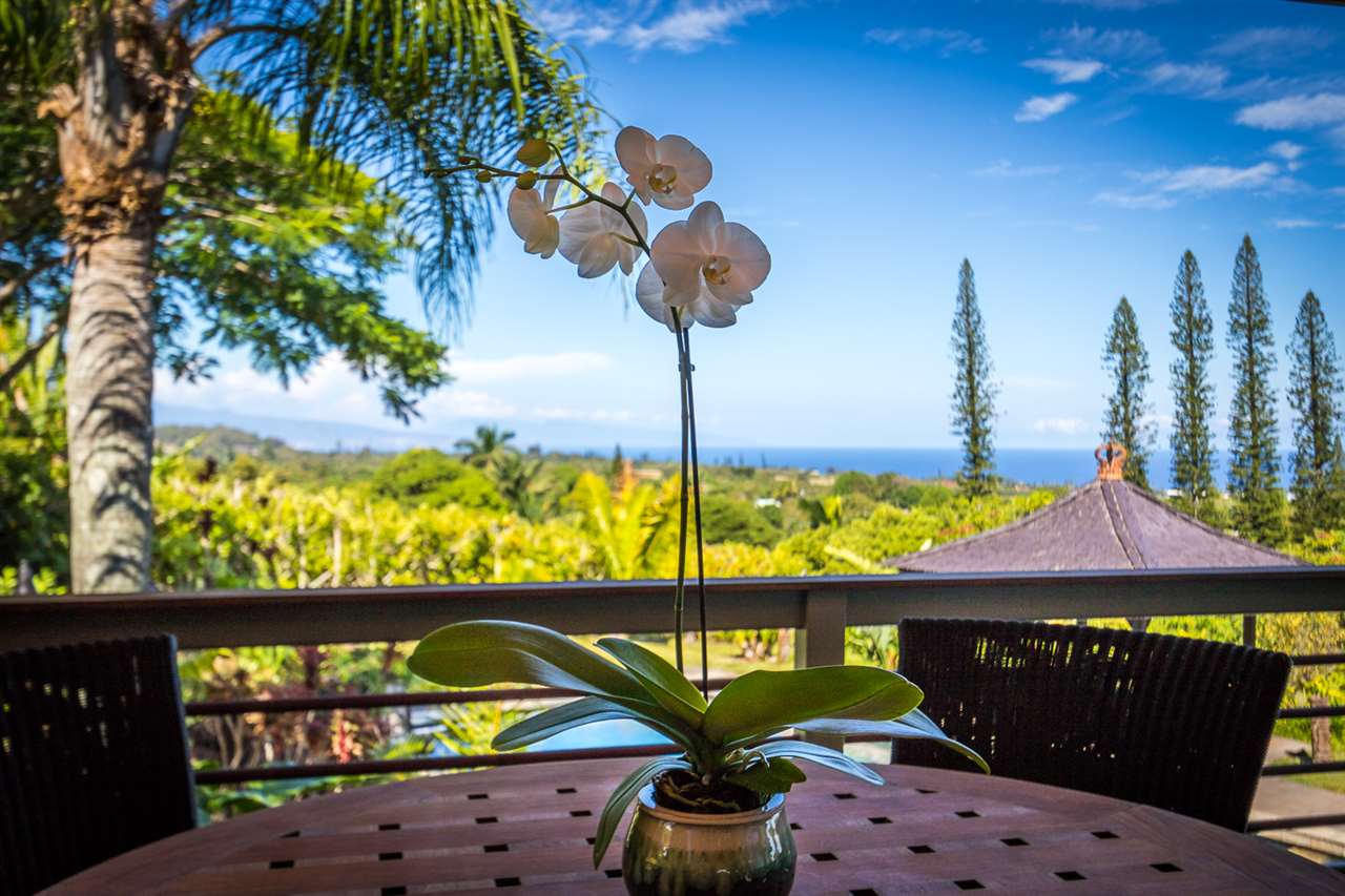 195 Mauu Place Haiku, HI 96708 - Photo 30 of 30 a view of swimming pool with a patio